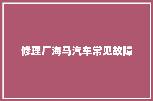 修理厂海马汽车常见故障
