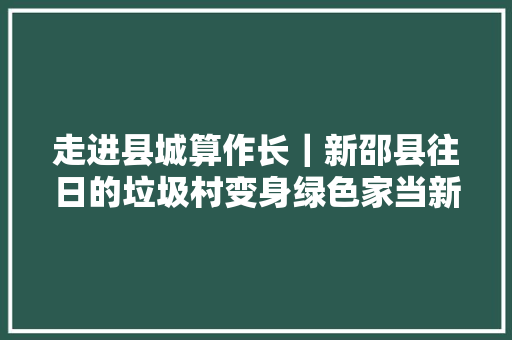 走进县城算作长｜新邵县往日的垃圾村变身绿色家当新城