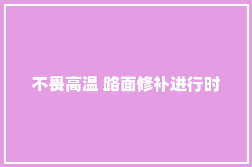 不畏高温 路面修补进行时