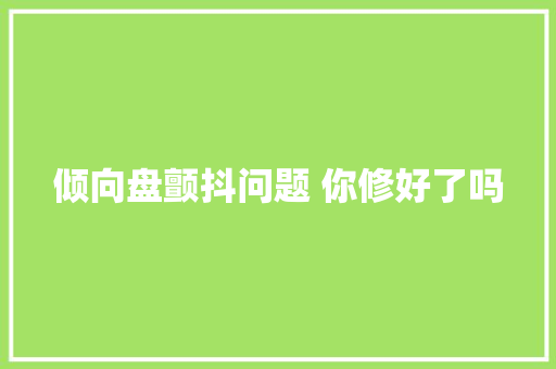 倾向盘颤抖问题 你修好了吗