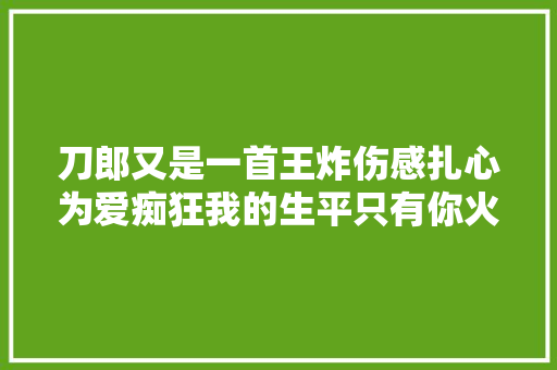 刀郎又是一首王炸伤感扎心为爱痴狂我的生平只有你火爆收集