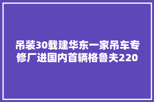 吊装30载建华东一家吊车专修厂进国内首辆格鲁夫220吨起重机