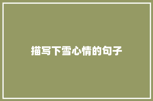 描写下雪心情的句子