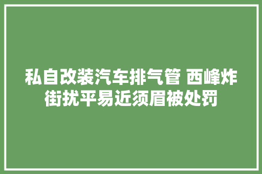私自改装汽车排气管 西峰炸街扰平易近须眉被处罚