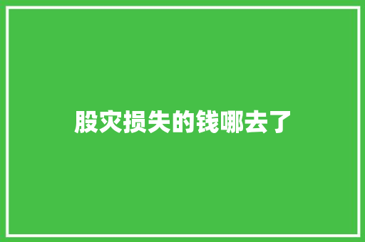 股灾损失的钱哪去了
