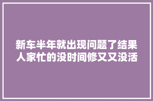 新车半年就出现问题了结果人家忙的没时间修又又没活了