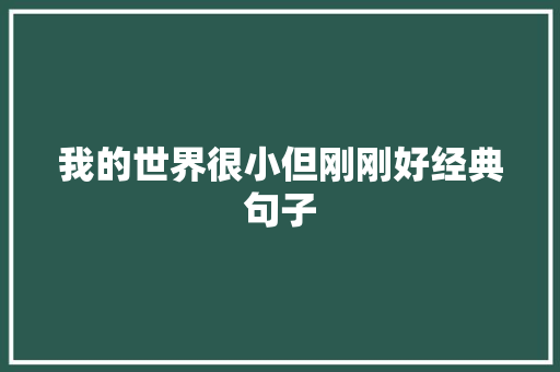 我的世界很小但刚刚好经典句子