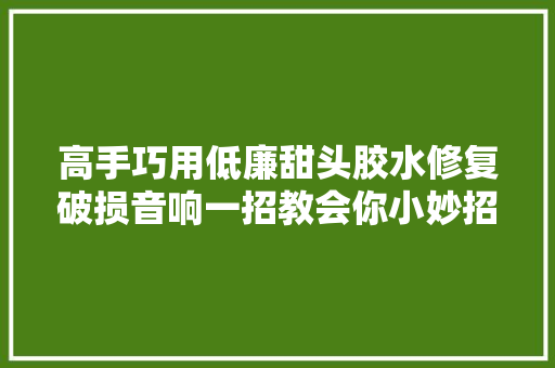 高手巧用低廉甜头胶水修复破损音响一招教会你小妙招设备恢