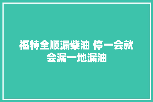 福特全顺漏柴油 停一会就会漏一地漏油