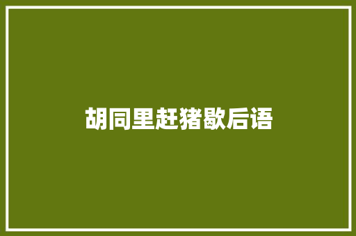 胡同里赶猪歇后语