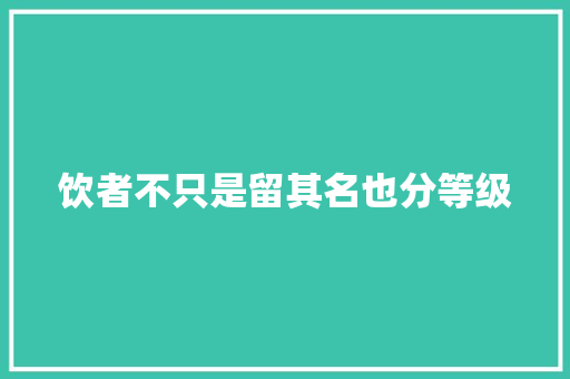 饮者不只是留其名也分等级