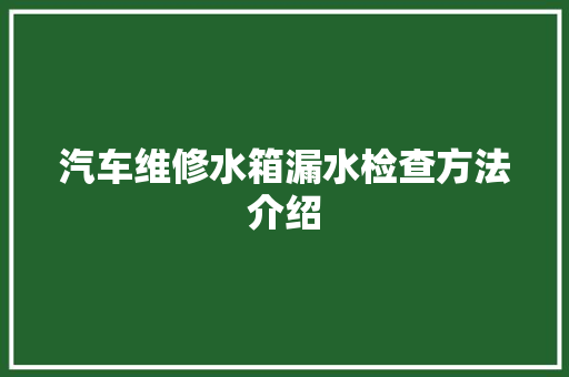汽车维修水箱漏水检查方法介绍