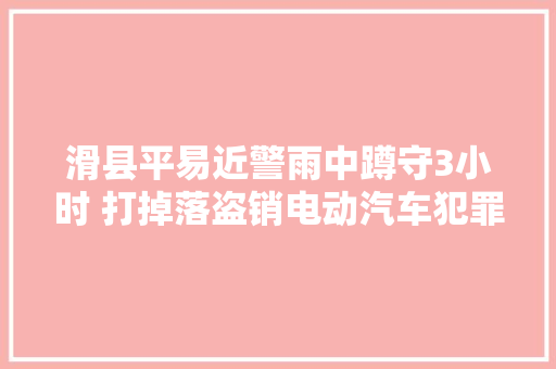滑县平易近警雨中蹲守3小时 打掉落盗销电动汽车犯罪团伙