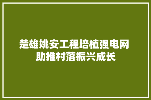 楚雄姚安工程培植强电网 助推村落振兴成长