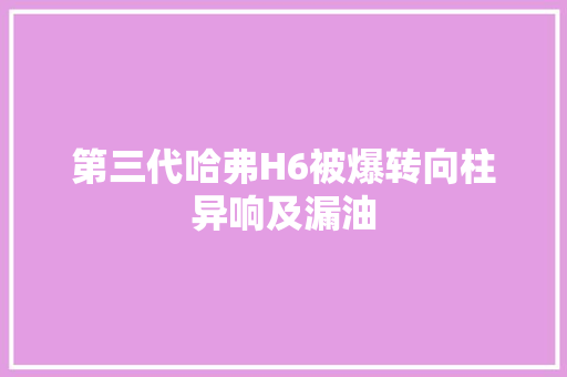 第三代哈弗H6被爆转向柱异响及漏油