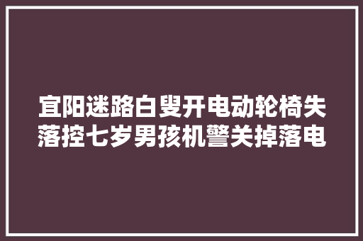 宜阳迷路白叟开电动轮椅失落控七岁男孩机警关掉落电源送白叟回家