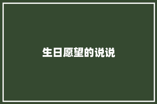 生日愿望的说说