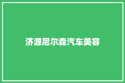 济源尼尔森汽车美容