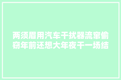 两须眉用汽车干扰器流窜偷窃年前还想大年夜干一场结果在沧州刚住下就被抓了