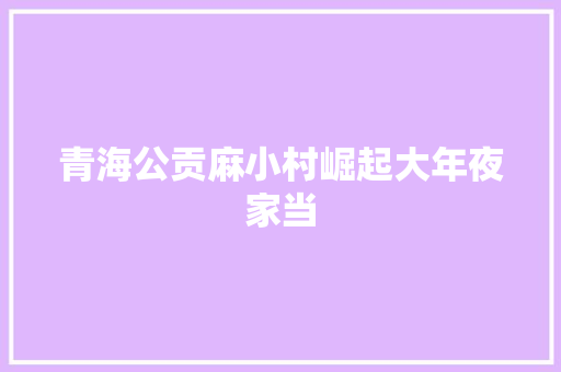 青海公贡麻小村崛起大年夜家当