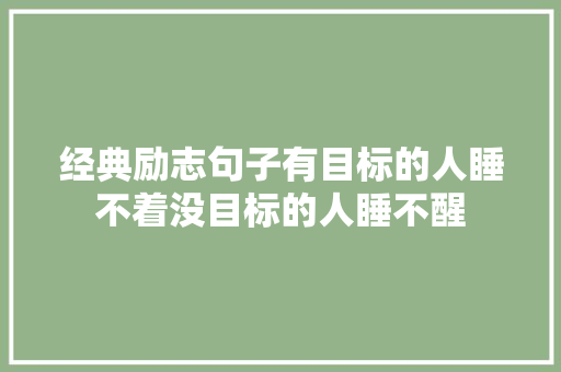经典励志句子有目标的人睡不着没目标的人睡不醒