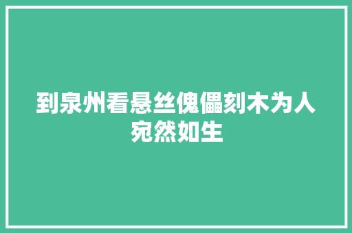 到泉州看悬丝傀儡刻木为人宛然如生