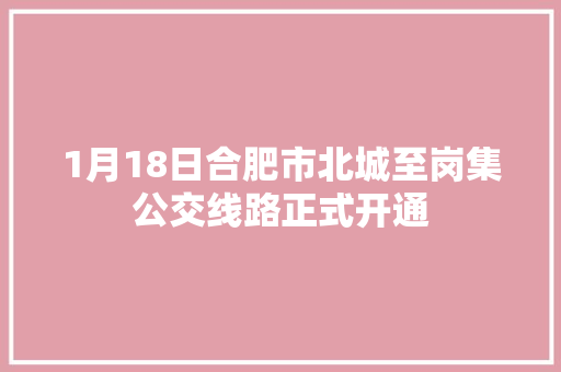 1月18日合肥市北城至岗集公交线路正式开通