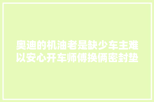 奥迪的机油老是缺少车主难以安心开车师傅换俩密封垫就好
