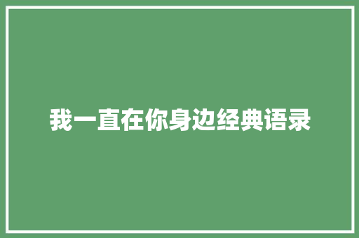 我一直在你身边经典语录