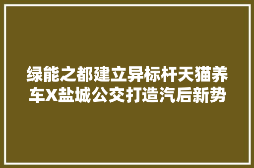 绿能之都建立异标杆天猫养车X盐城公交打造汽后新势力
