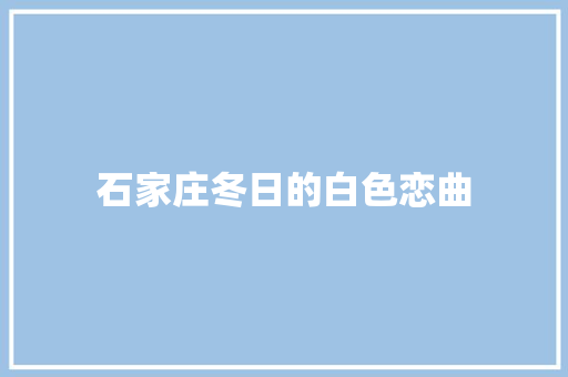 石家庄冬日的白色恋曲
