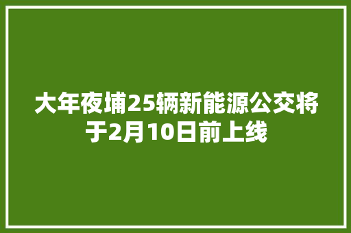 大年夜埔25辆新能源公交将于2月10日前上线