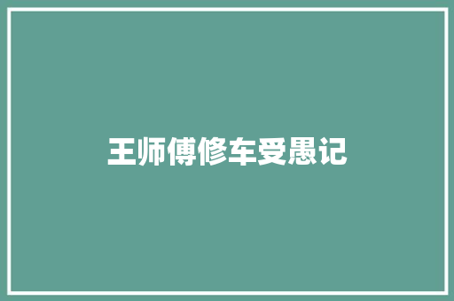 王师傅修车受愚记
