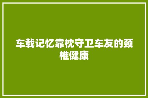 车载记忆靠枕守卫车友的颈椎健康