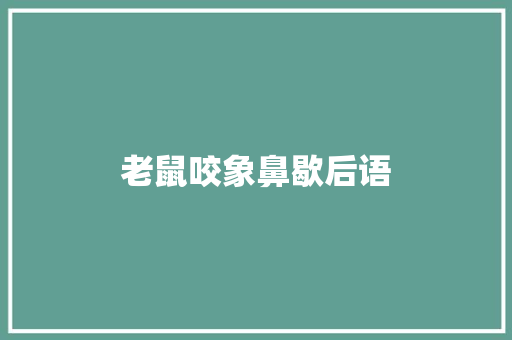 老鼠咬象鼻歇后语