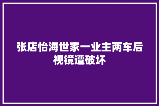 张店怡海世家一业主两车后视镜遭破坏