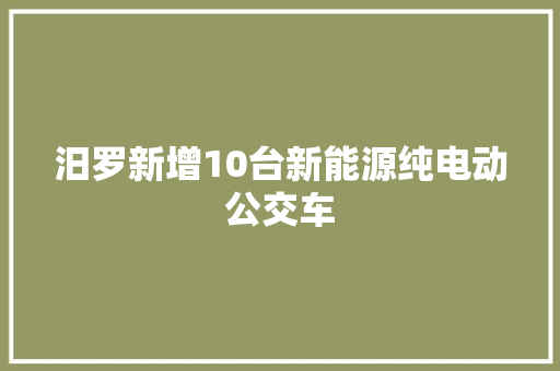 汨罗新增10台新能源纯电动公交车