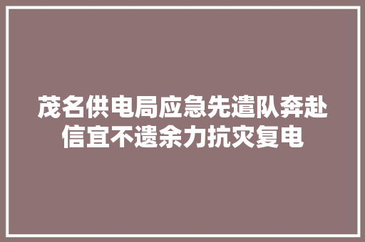 茂名供电局应急先遣队奔赴信宜不遗余力抗灾复电