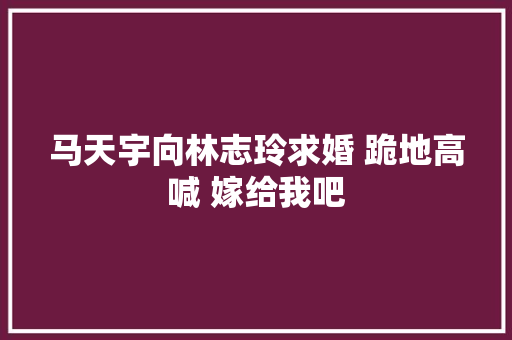 马天宇向林志玲求婚 跪地高喊 嫁给我吧