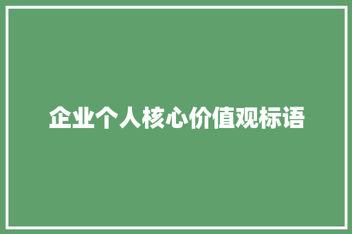 企业个人核心价值观标语