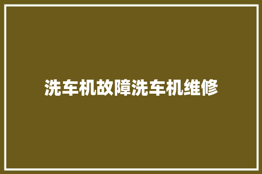 洗车机故障洗车机维修