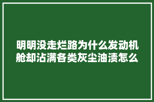 明明没走烂路为什么发动机舱却沾满各类灰尘油渍怎么解决