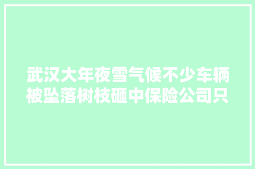 武汉大年夜雪气候不少车辆被坠落树枝砸中保险公司只要购买车损险即可申请理赔 汽车知识