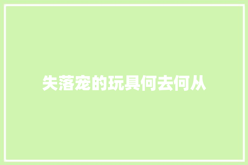 失落宠的玩具何去何从