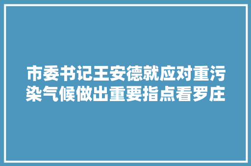 市委书记王安德就应对重污染气候做出重要指点看罗庄这支军队若何光彩出征附视频