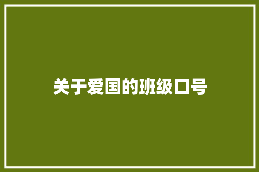 关于爱国的班级口号