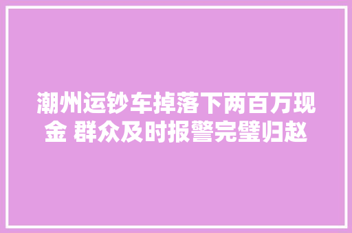潮州运钞车掉落下两百万现金 群众及时报警完璧归赵