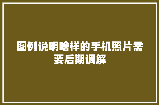 图例说明啥样的手机照片需要后期调解