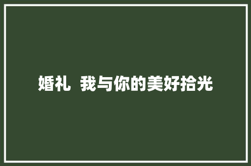 婚礼  我与你的美好拾光