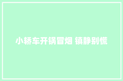 小轿车开锅冒烟 镇静别慌